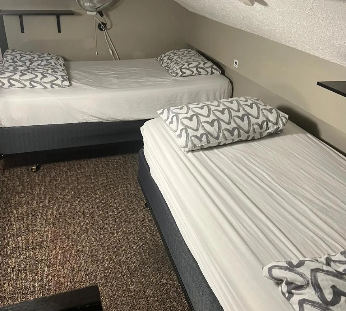 Banff International Hostel