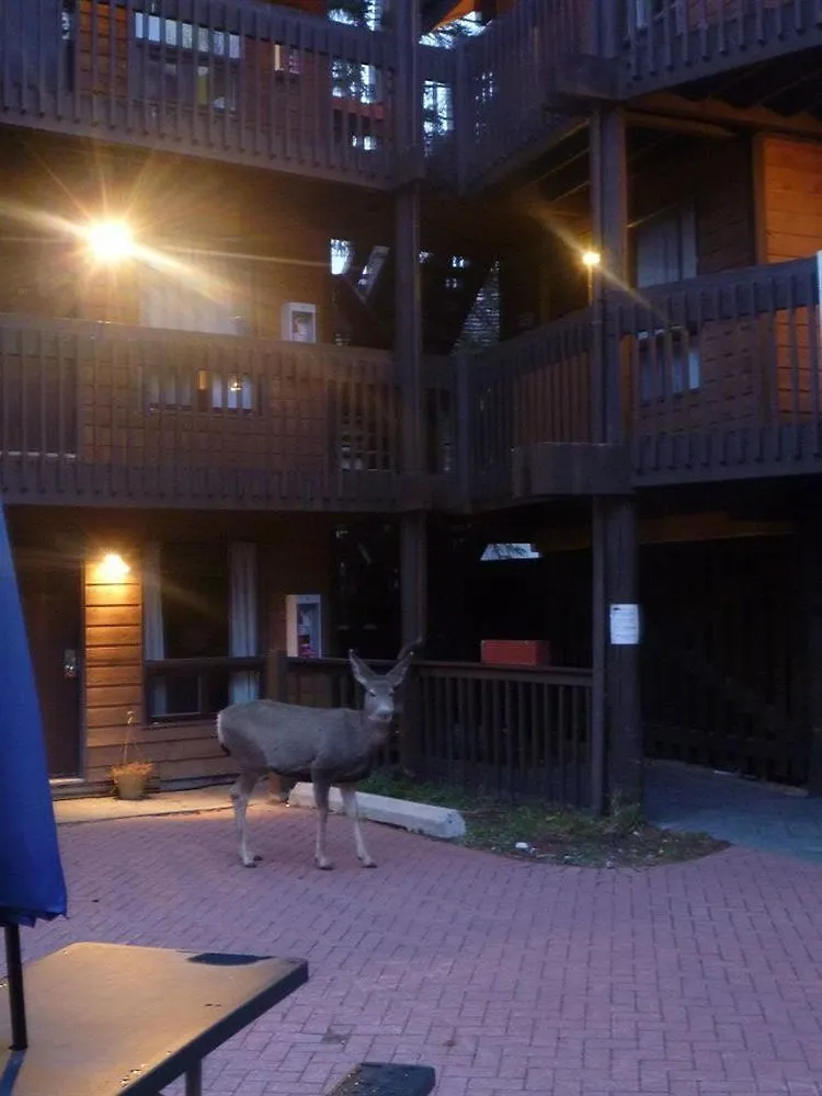 Banff International Hostel 0*,