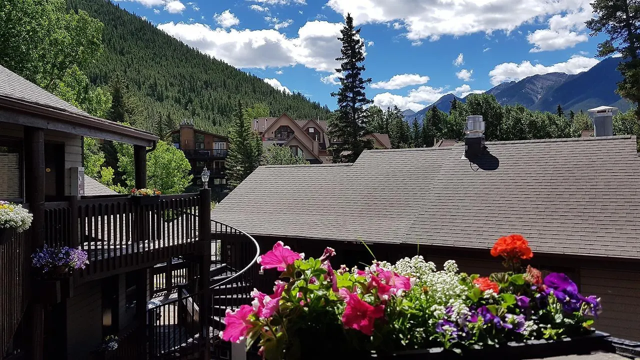 Banff International Hostel 0*,