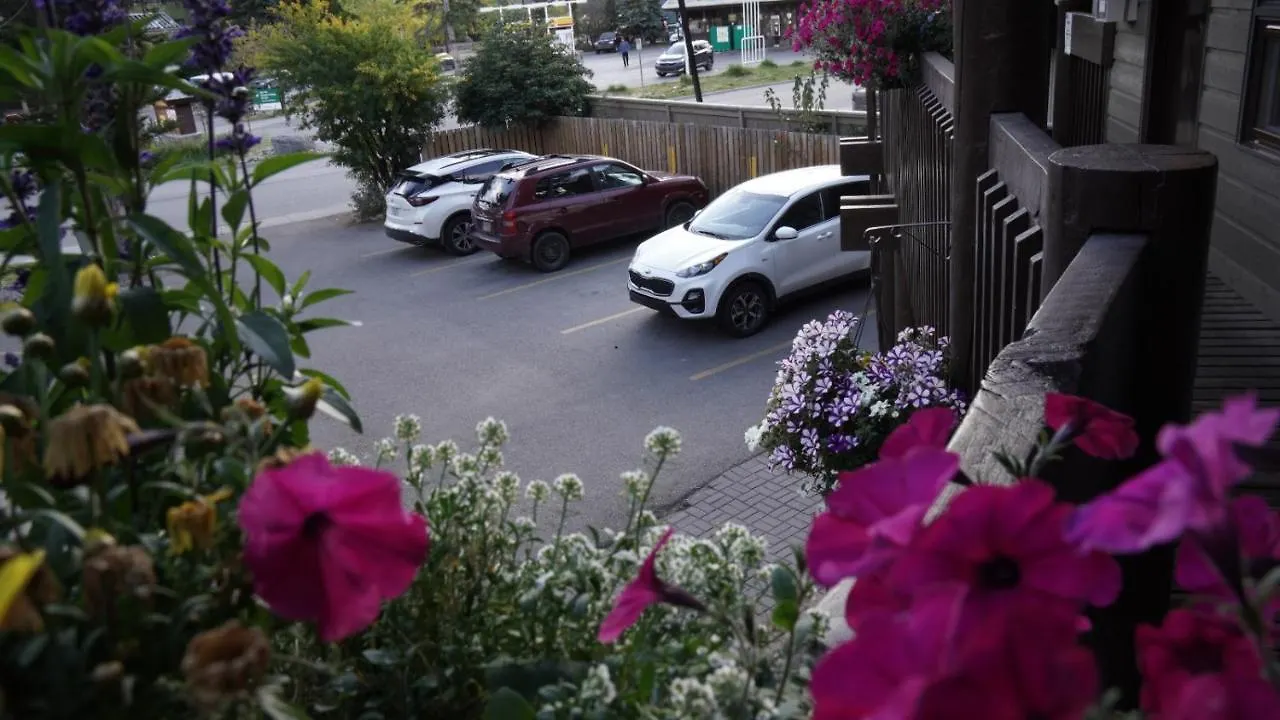 Banff International Hostel كندا
